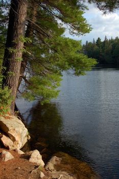 Sunny evening after day of canoeing in Algonquin Park.
