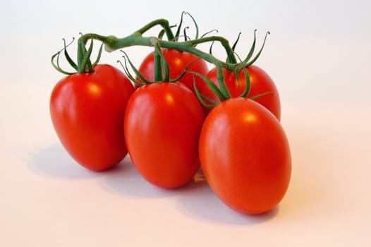 Three tomatos on white background