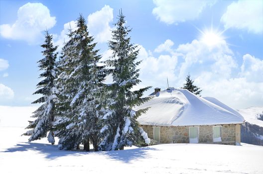 snow landscape