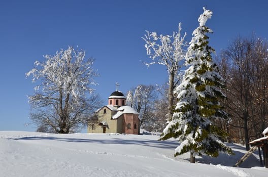 church between green pine