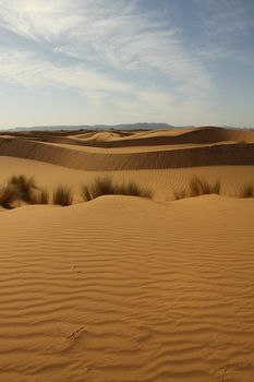 Sahara Desert Morocco