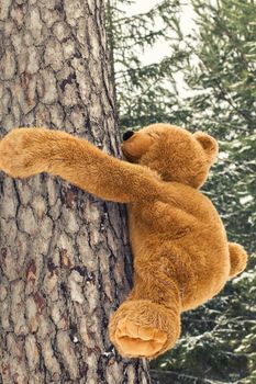 Toy bear climbing on a tree in forest