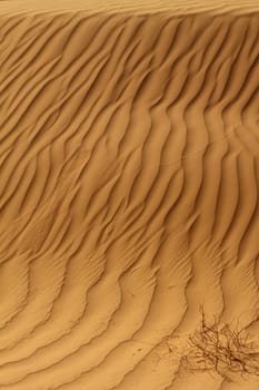 Sahara Desert Morocco