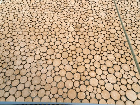 top of the cork tree