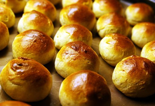 Golden wheat buns freshly baked, straight from the oven