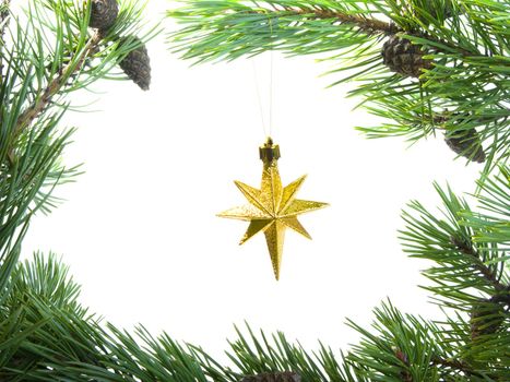 star cristmas,cristmas star in frame of the branches of the pine