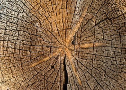 close-up wooden cut texture with burning frame  close up