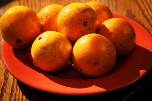 Oranges on a plate ready for grabbing