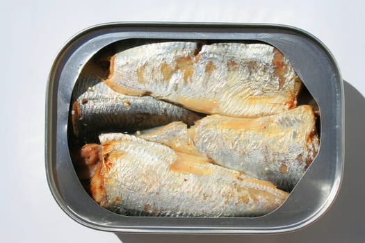 Close up of sardines in a can.
