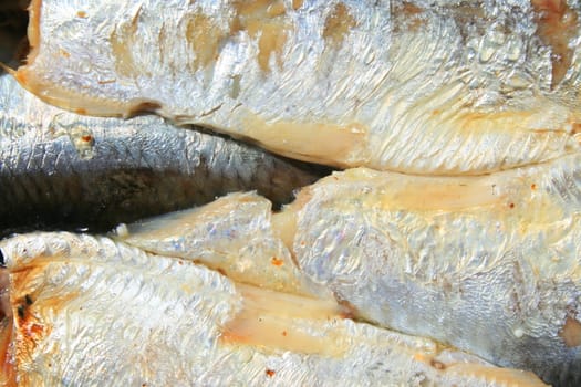Close up of sardines in a can.
