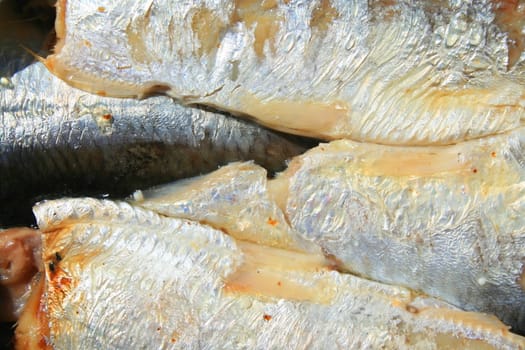 Close up of sardines in a can.
