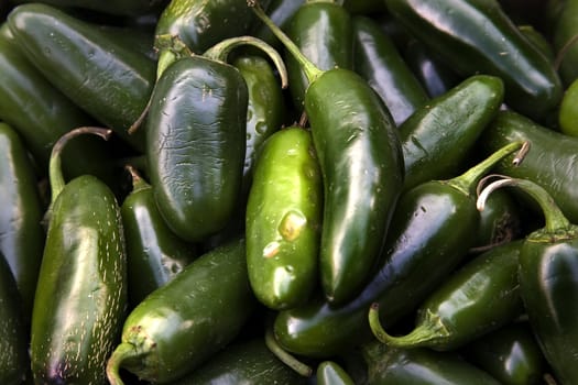 Spicy Green Jalapeno Chili Peppers Habanera Capsicum Annum

Resubmit--In response to comments from reviewer have further processed image to reduce noise, sharpen focus and adjust lighting.

