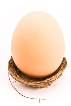 One egg in small nest isolated on white