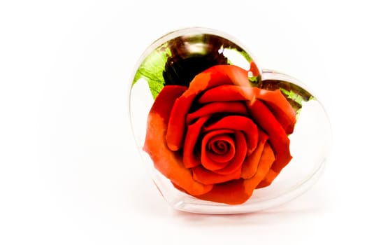 Red Rose in Transparen Heart of glass islolated on white