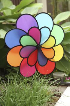 stock image of pinwheel in the garden