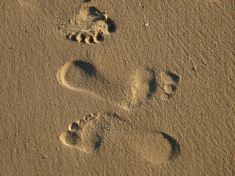 footprints in the wet sand