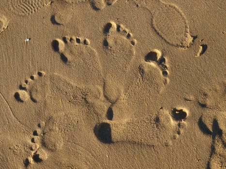 footprints in the wet sand