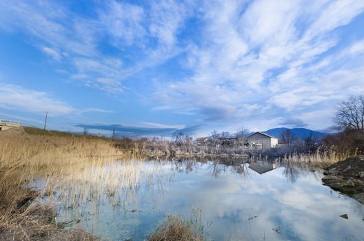 In the Swamp with rushes and old house on the clear cloudy blue sky