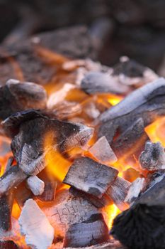 Decaying red coals of a tree in a fire 