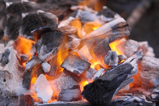 Decaying red coals of a tree in a fire 