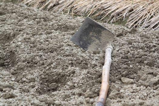 spade ready to prepare vegetable bed for sowing 