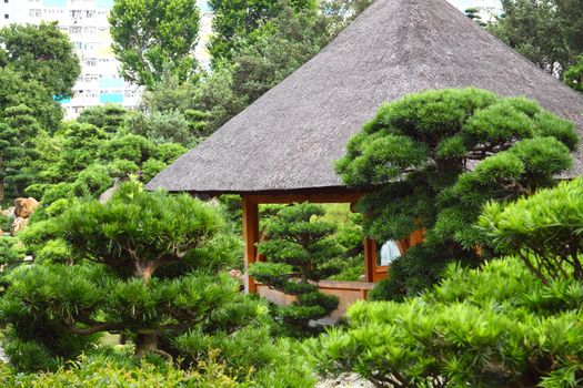 Pavilion and green trees