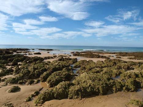 Algarve coast at low tide the ocean