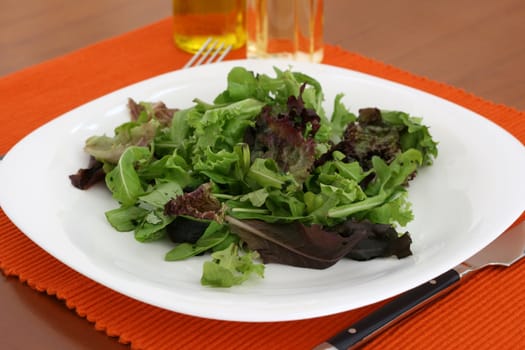 Salad on an white plate