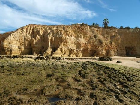 Algarve coast at low tide the ocean 
