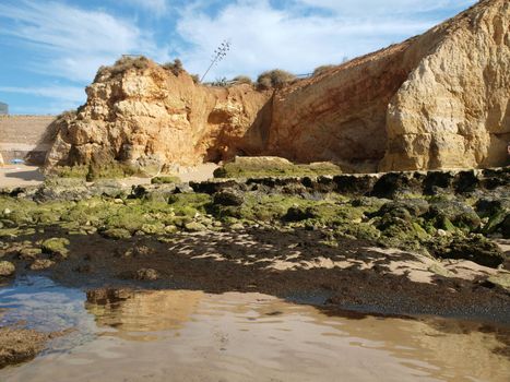 Algarve coast at low tide the ocean 
