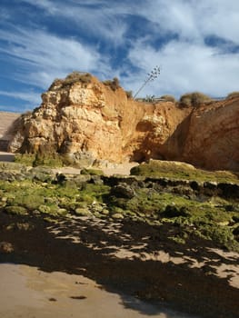 Algarve coast at low tide the ocean 
