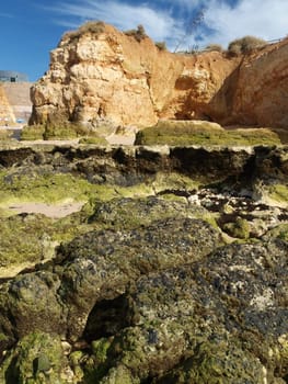 Algarve coast at low tide the ocean 
