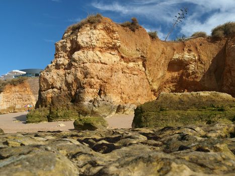 Algarve coast at low tide the ocean 
