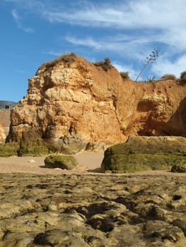 Algarve coast at low tide the ocean 
