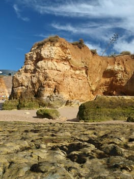 Algarve coast at low tide the ocean 
