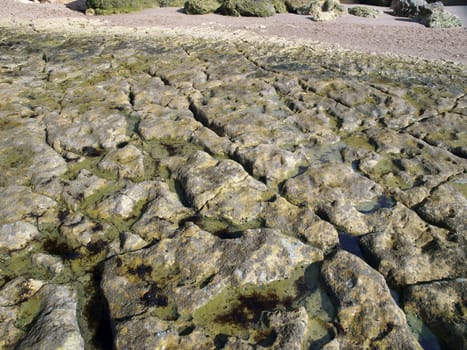 Algarve coast at low tide the ocean 
