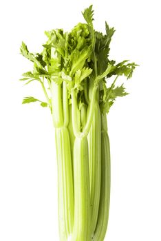 Fresh celery close up