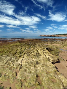 Algarve coast at low tide the ocean 
