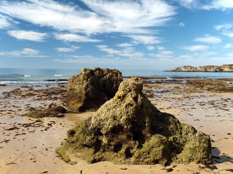 Algarve coast at low tide the ocean 
