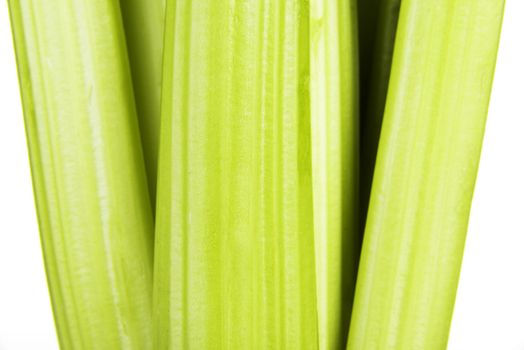 Fresh celery close up