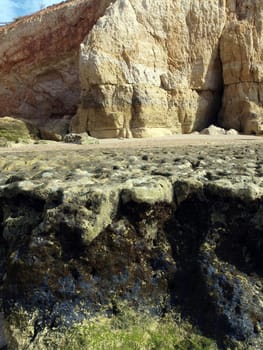 Algarve coast at low tide the ocean 
