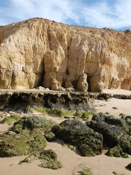 Algarve coast at low tide the ocean 
