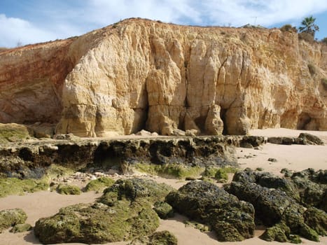 Algarve coast at low tide the ocean 
