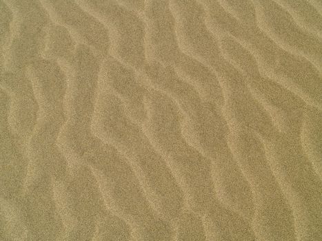 Abstract background of sand ripples at the beach