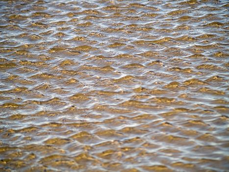 Ocean Ripples in Shallow Water on a Beach