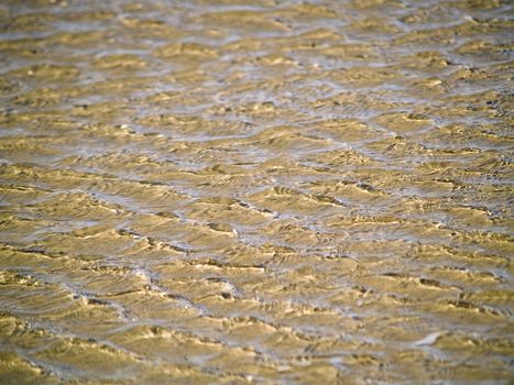 Ocean Ripples in Shallow Water on a Beach