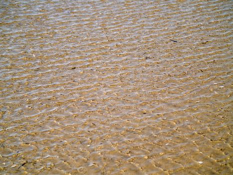 Ocean Ripples in Shallow Water on a Beach