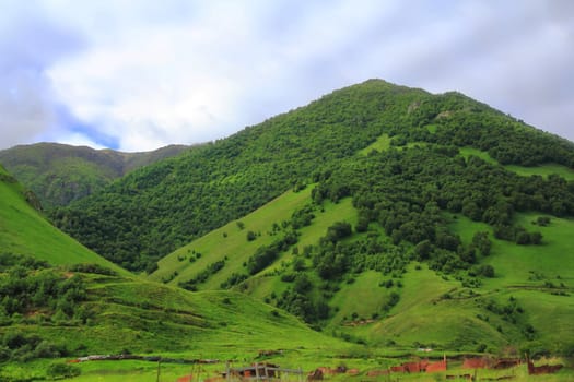 Summer beautiful landscape with Caucasus green mountains