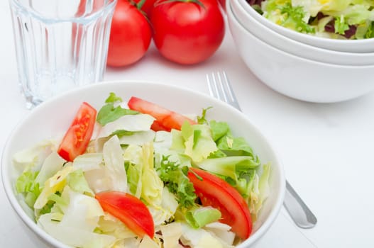 Salad of Fresh Green Vegetables in White Bowl
