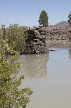 a muddy watering hole with a fence post in the middle